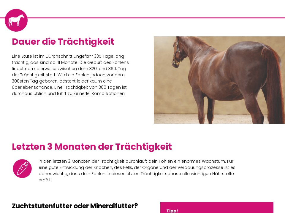 Die Trächtigkeit - Handbuch zur Fohlenaufzucht